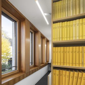 Ein moderner Innenraum mit einer Wand aus Holzrahmenfenstern, die nach draußen auf einen herbstlichen Baum mit gelbem Laub blicken. Links perforierte Holzverkleidung für akustische Effizienz, rechts ein Regal voller gelber Aktenordner.