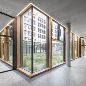 Moderner Innenraum mit großen bodentiefen Fenstern in Holzrahmen, die einen Blick auf einen begrünten Innenhof mit Grasflächen und großen Felsen bieten. Betonwände und -säulen sowie ein heller, polierter Boden ergänzen das minimalistische Design.